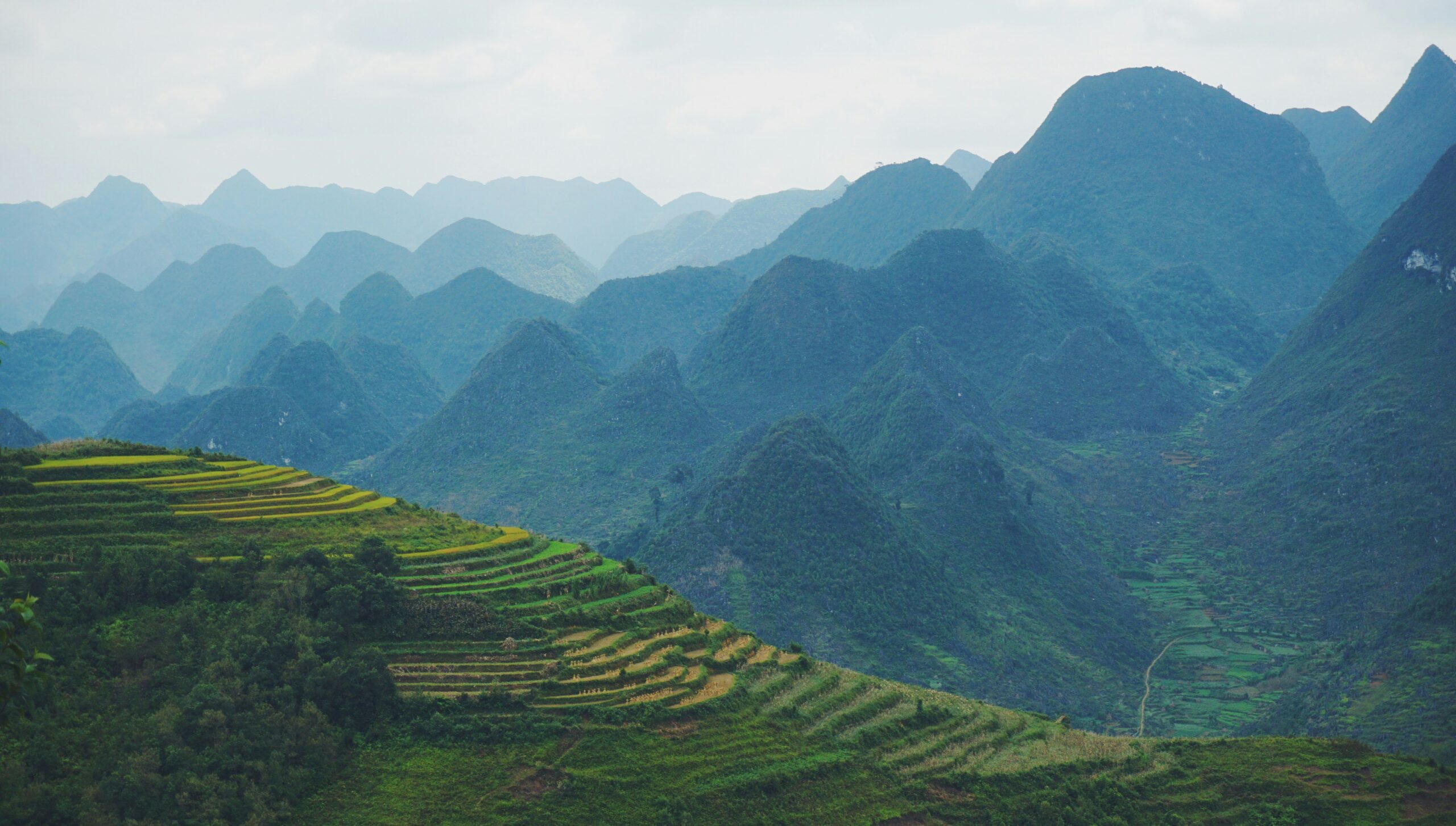 Vietnam Travel Budget