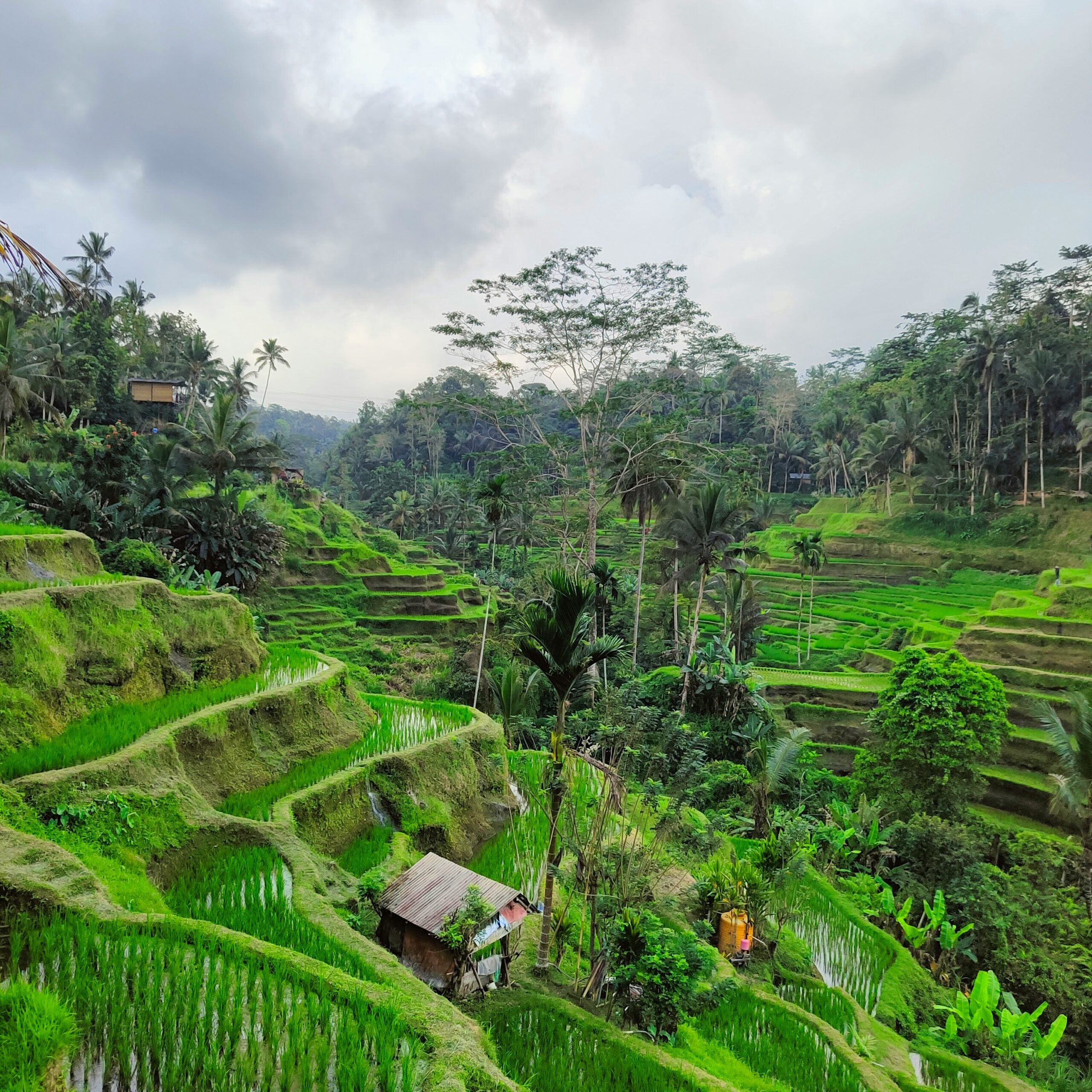 Bali Indonesia beautiful landscape travel