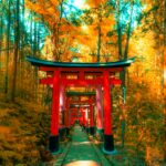 Traditional Kyoto temple in Japan