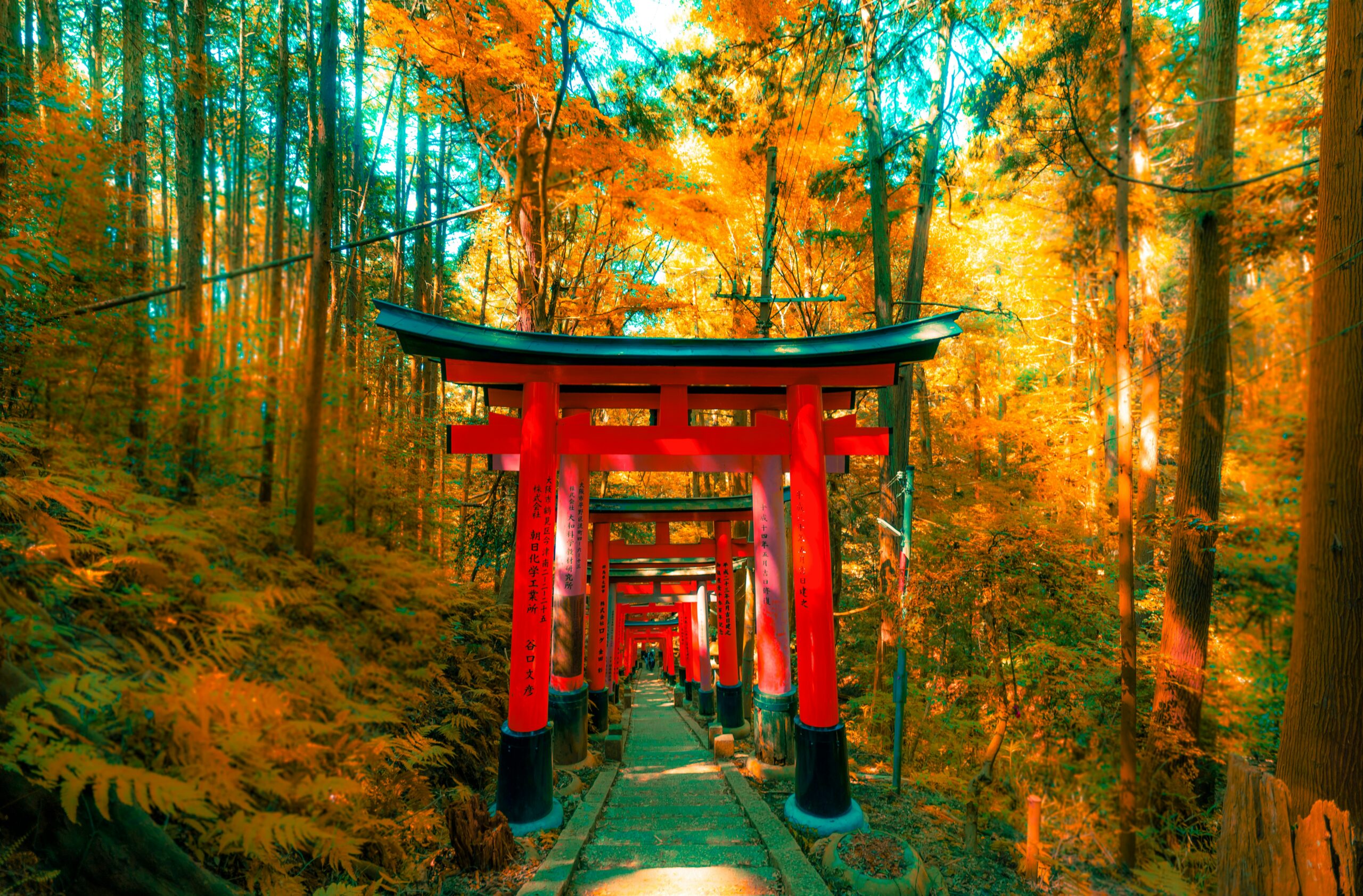 Traditional Kyoto temple in Japan